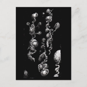 Vrij-drijvende organische aroma's briefkaart