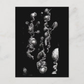 Vrij-drijvende organische aroma's briefkaart (Voorkant)