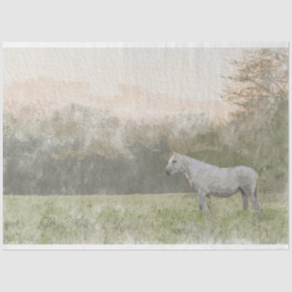 Vrij en vrij 18 lb-papier voor weefselontkoppeling tissuepapier