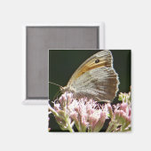 Vrij grote vlinder magneet (Voorkant / Achterkant)