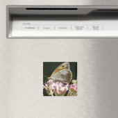Vrij grote vlinder magneet (Insitu (Vaatwasser))
