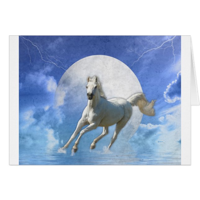 Vrij lopen (Voorkant Horizontaal)