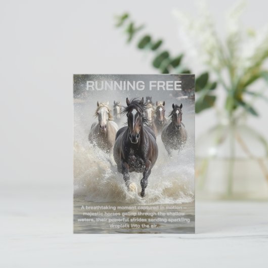 Vrij lopen briefkaart (Staand voorkant)