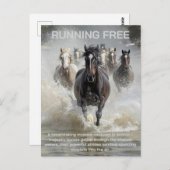 Vrij lopen briefkaart (Voorkant / Achterkant)