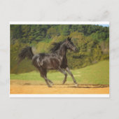 Vrij lopen briefkaart (Voorkant)