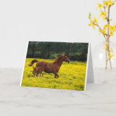 Vrij lopen kaart (Gele Bloem)