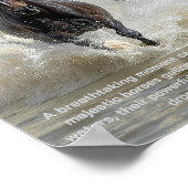 Vrij lopen poster (Hoek)