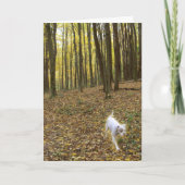 Vrij om te lopen kaart (Voorkant)