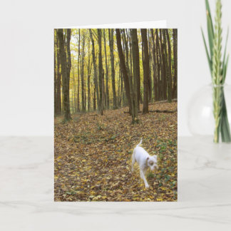 Vrij om te lopen kaart