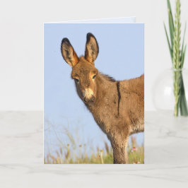 "Vrij om te roamen" - Wenskaart Kaart