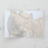 "Vrij om te roamen" - Wenskaart Kaart (Binnen)