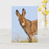 "Vrij om te roamen" - Wenskaart Kaart (Gele Bloem)