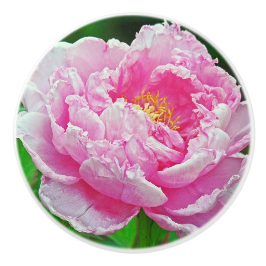 VRIJ PINK PEONY KERAMISCHE KNOP (Voorkant)