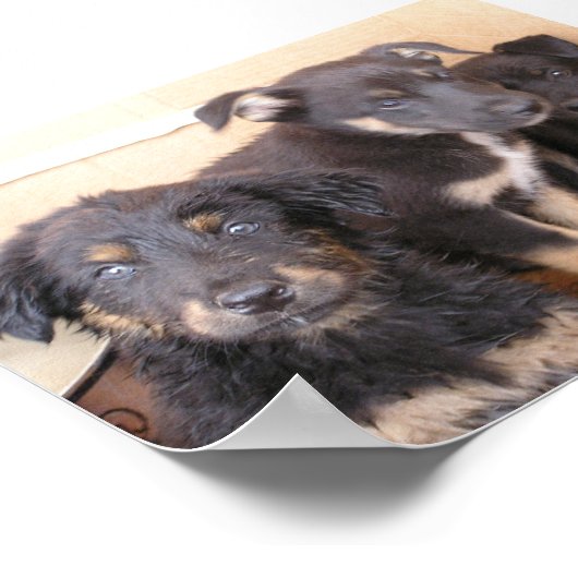 Vrij Puppy Poster (Hoek)