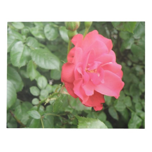 Vrij Roos Blocnote (Voorkant)