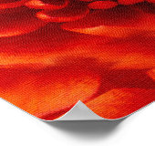 VRIJ VAN DE VLOEREN, Rode Gele Fantassie Poster (Hoek)