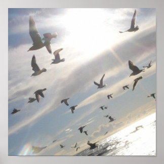 Vrij vliegen poster