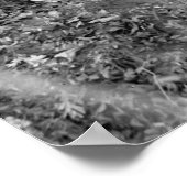 Vrij zonnedak: 1922 poster (Hoek)