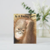Vrijdag Briefkaart (Staand voorkant)