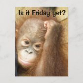 Vrijdag Briefkaart (Voorkant)