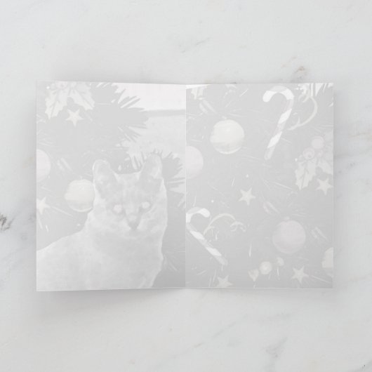 Vrijdag Chartreux Greeting Feestdagen Kaart (Binnen)