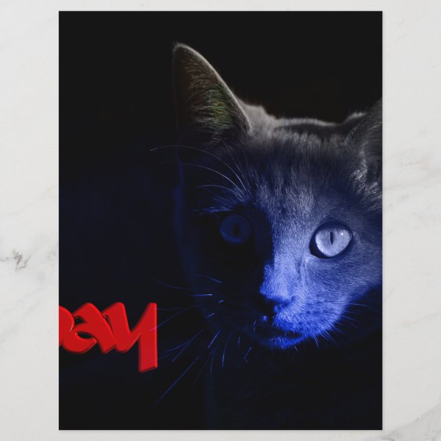 vrijdag de 13de (Voorkant)