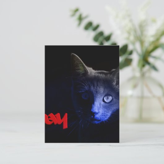 vrijdag de 13de briefkaart (Staand voorkant)