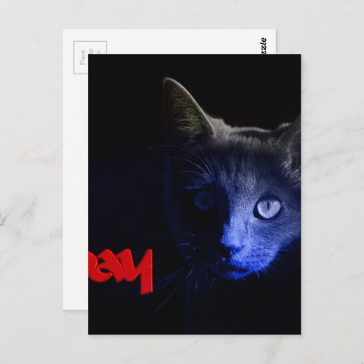 vrijdag de 13de briefkaart (Voorkant / Achterkant)