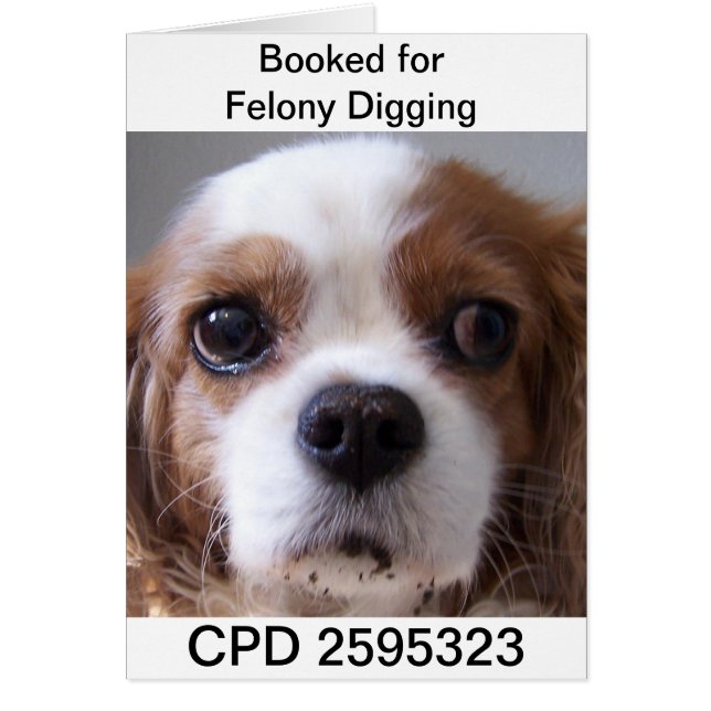 Vrijdagen Mok (Voorkant)