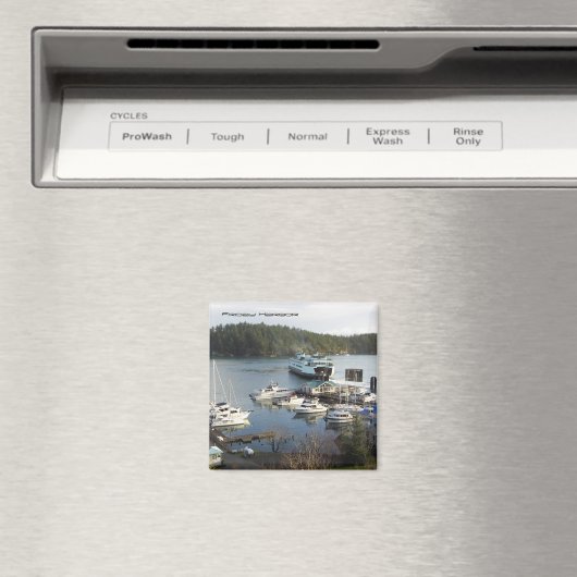 Vrijdaghaven Magneet (Insitu (Vaatwasser))