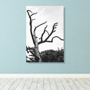 vrije boom canvas afdruk