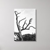 vrije boom canvas afdruk (Voorkant)