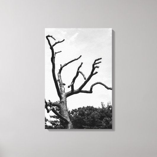 vrije boom canvas afdruk (Voorkant)