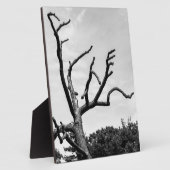 vrije boom fotoplaat (Zijkant)