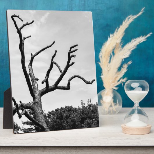 vrije boom fotoplaat (Zijkant)