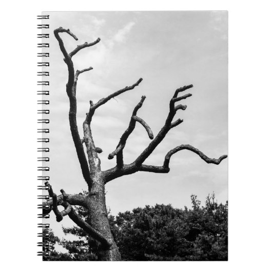 vrije boom notitieboek (Voorkant)