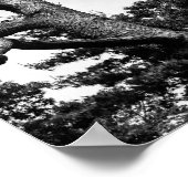 vrije boom poster (Hoek)