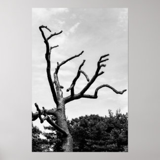 vrije boom poster