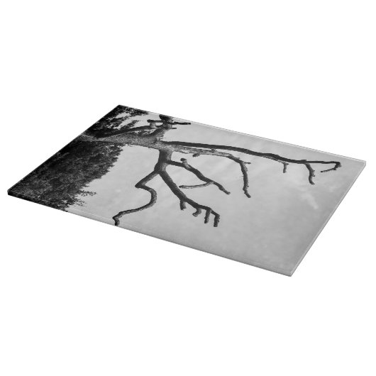 vrije boom snijplank (Hoek)