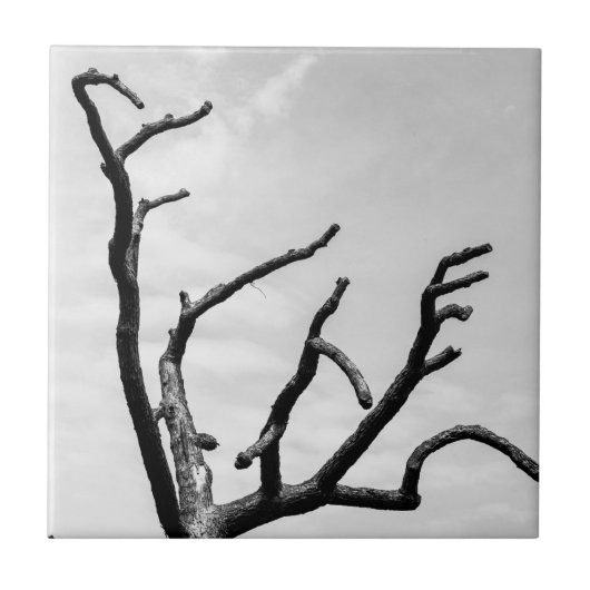 vrije boom tegeltje (Voorkant)