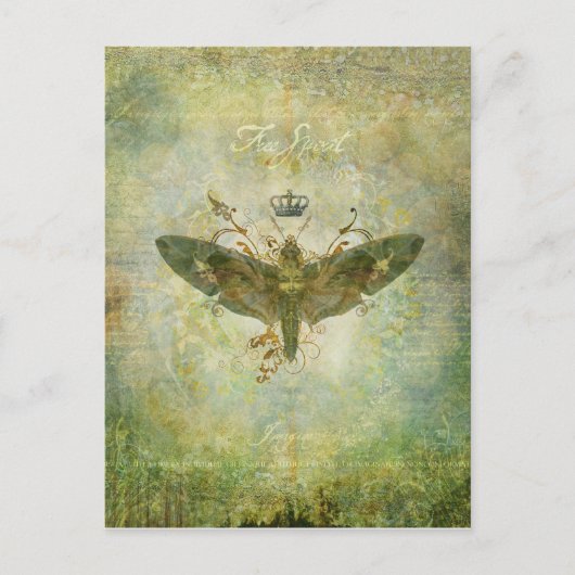 Vrije Briefkaart (Voorkant)