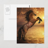 Vrije fok van wilde paarden briefkaart (Voorkant / Achterkant)