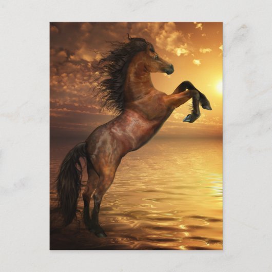 Vrije fok van wilde paarden briefkaart (Voorkant)