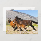 Vrije gedistilleerde dranken briefkaart (Voorkant / Achterkant)