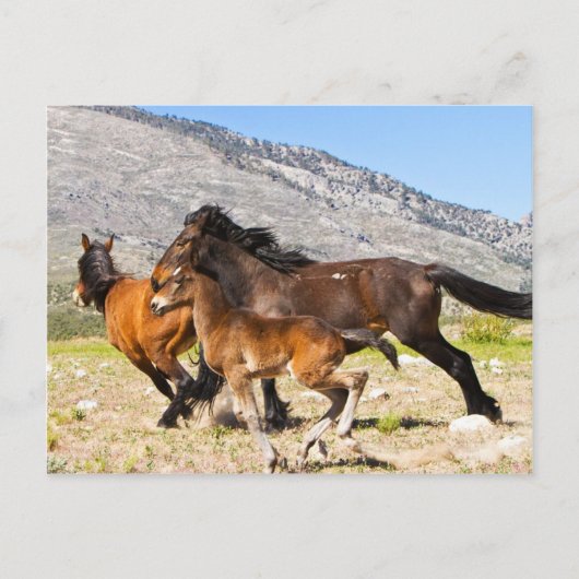 Vrije gedistilleerde dranken briefkaart (Voorkant)