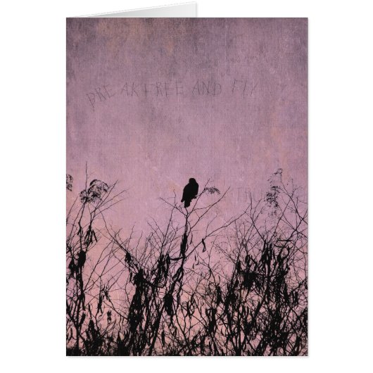 Vrije pauze (Voorkant)