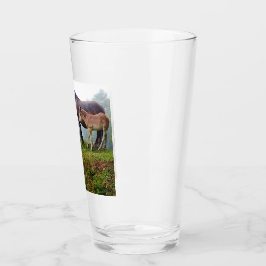 Vrije uitloop paarden glas (Links)