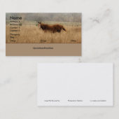 Vrije Visitekaartjes lopen (Voorkant / Achterkant)