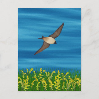 VRIJE VOGELS BRIEFKAART