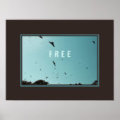 Vrije vogels in de lucht poster (Voorkant)